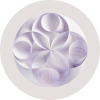 IBM watsonx.ai