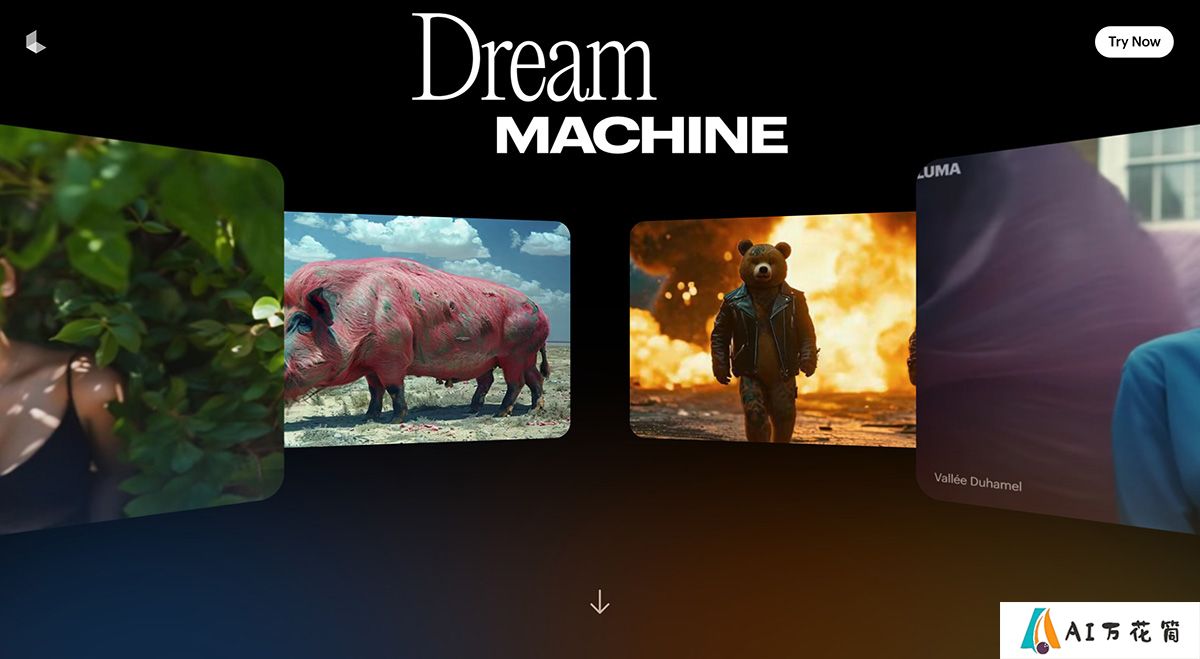 Dream Machine.jpg